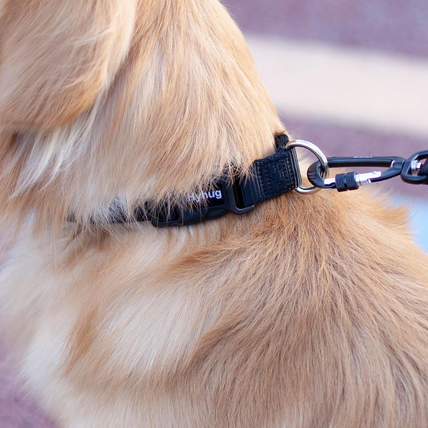 Black Dog Collar for Medium Dogs, Quick-Release Buckle, Adjustable | Sturdy Nylon, Adjustable Neck Fit. Great for Daily Walks, Park Play & Outdoor Hikes. Durable for Medium Breeds